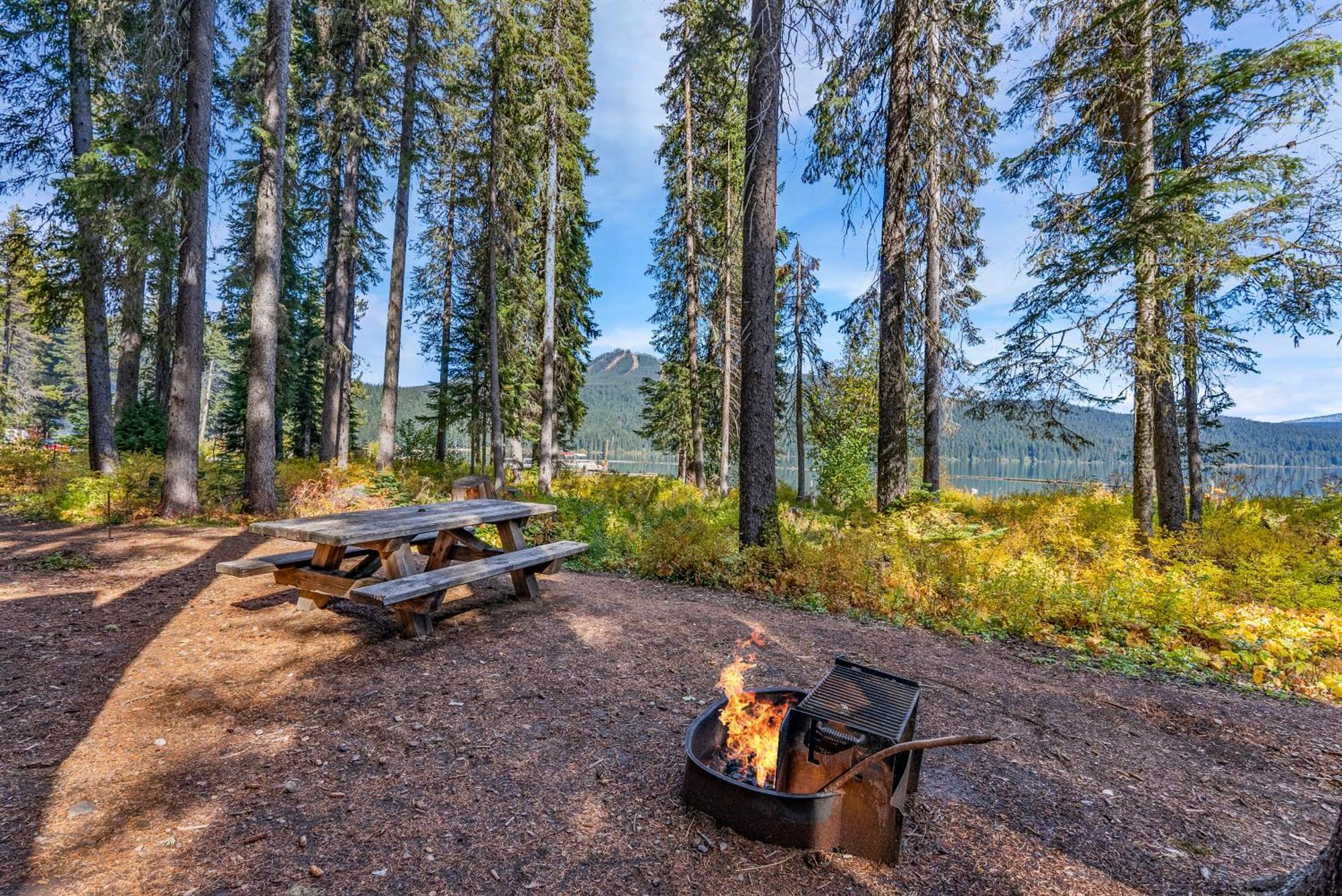 Shelter Cove Resort & Marina Campsite