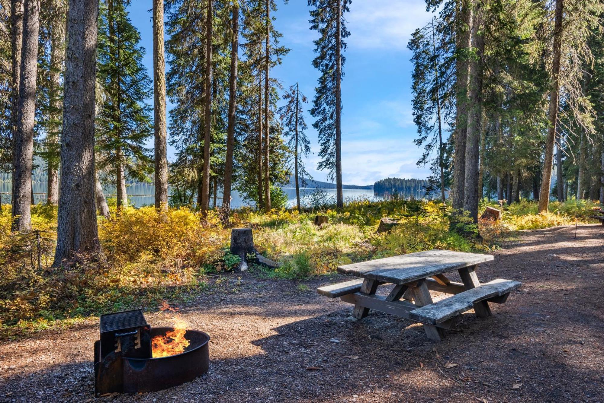 Shelter Cove Resort & Marina Campsite